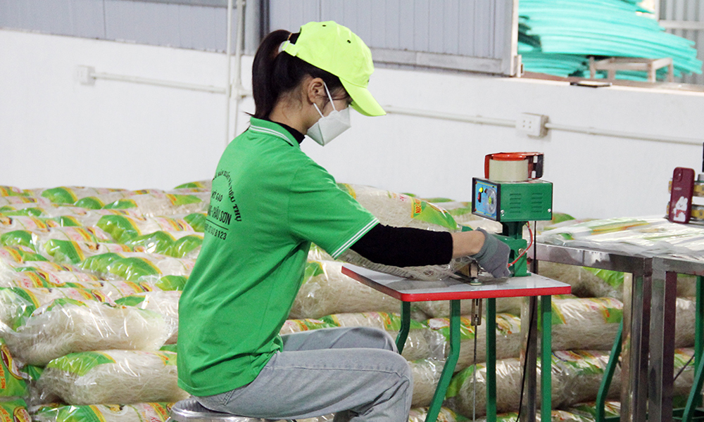 Bac Giang stimulates consumer demand, supports production and business